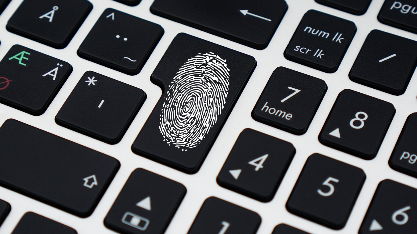 Copias de seguridad y backups automáticos