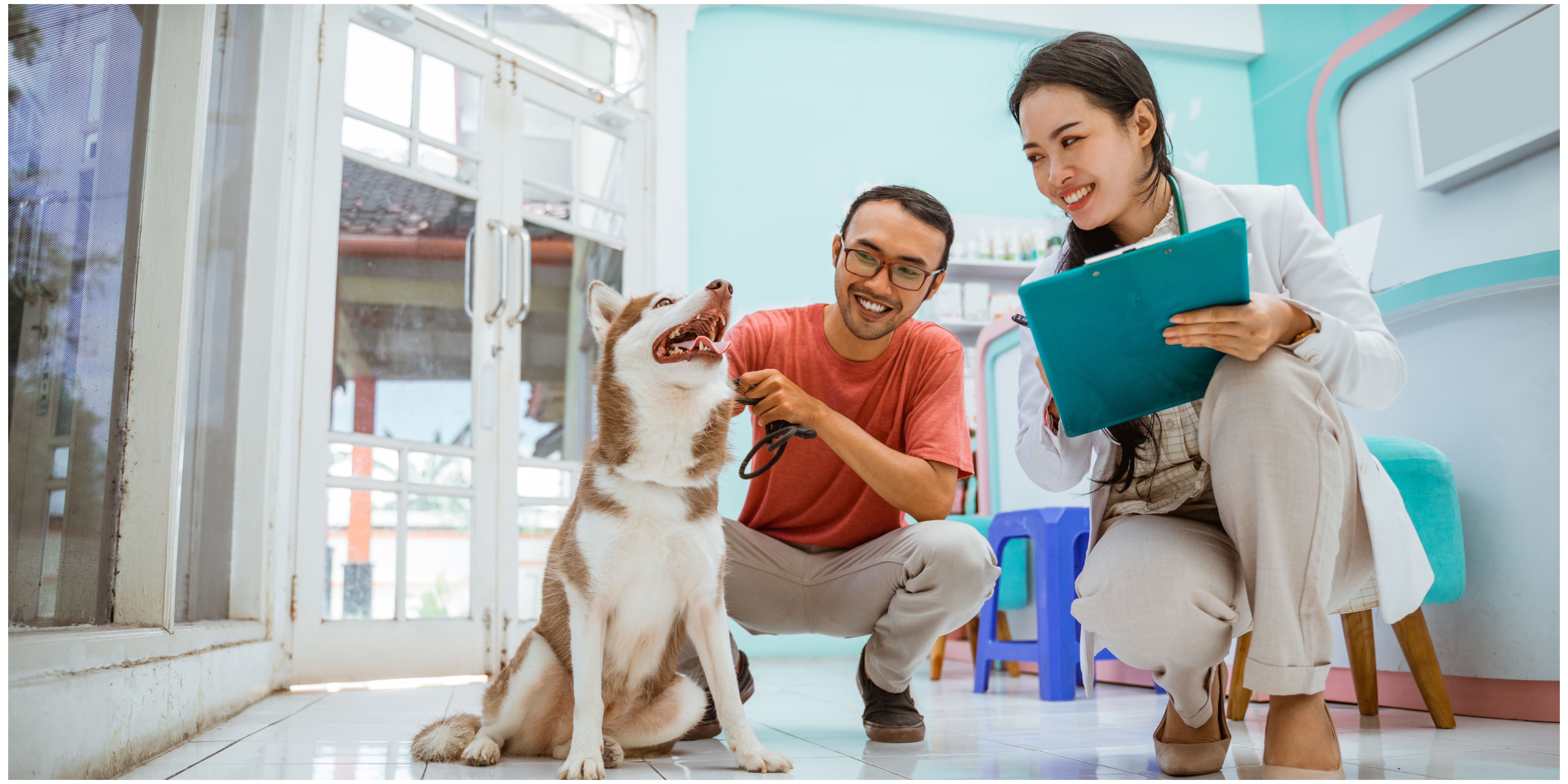 Instalaciones de la clínica veterinaria